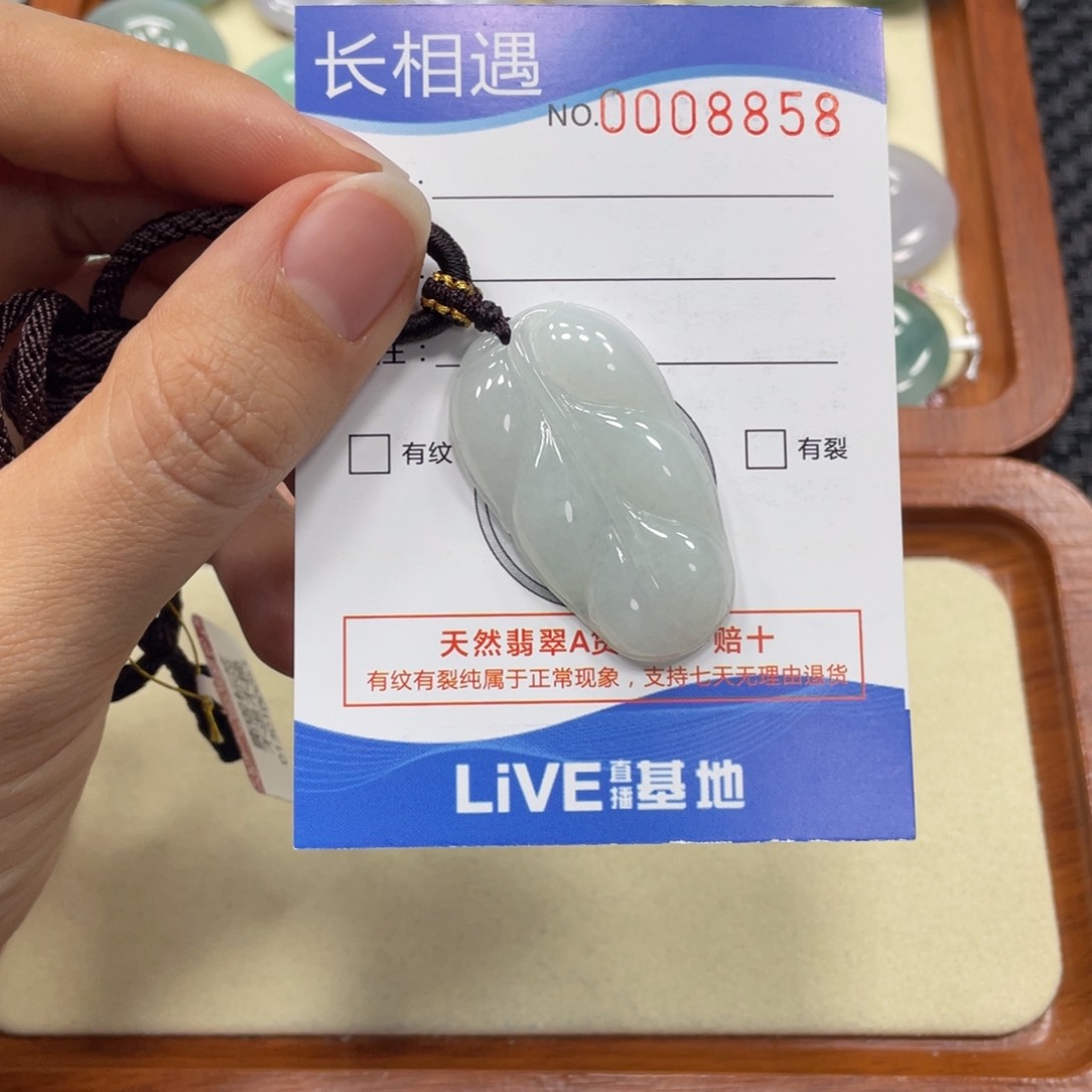 翡翠颈饰未镶嵌翡翠吊坠x 8858