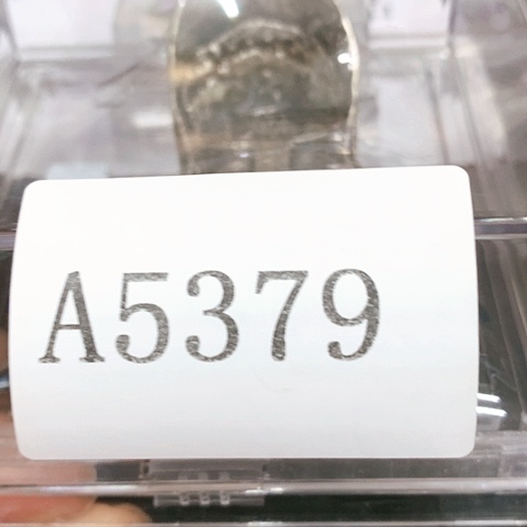 摆件?*?摆件11111111111