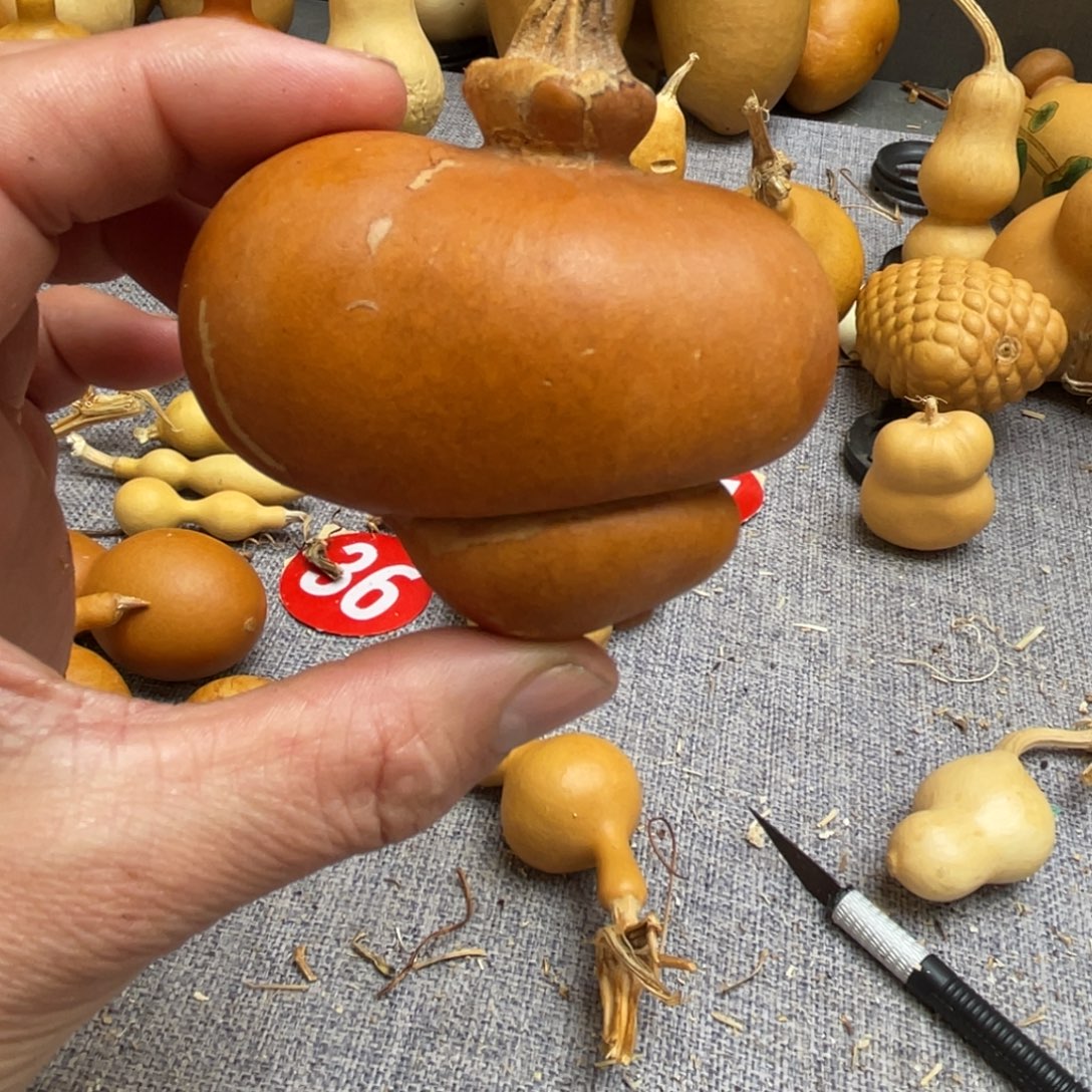 撒***林葫芦葫哈哈哈哈哈哈哈哈