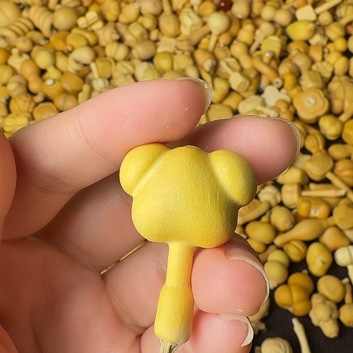 花***花葫芦山公园和新世纪百货街之间