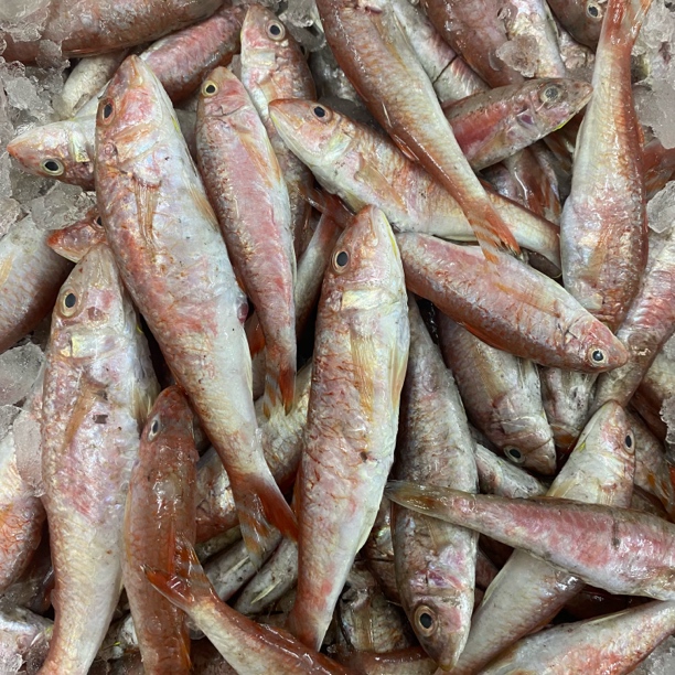 海门本港内头红造鱼 红娘鱼 香煎 贴鼎绝绝子