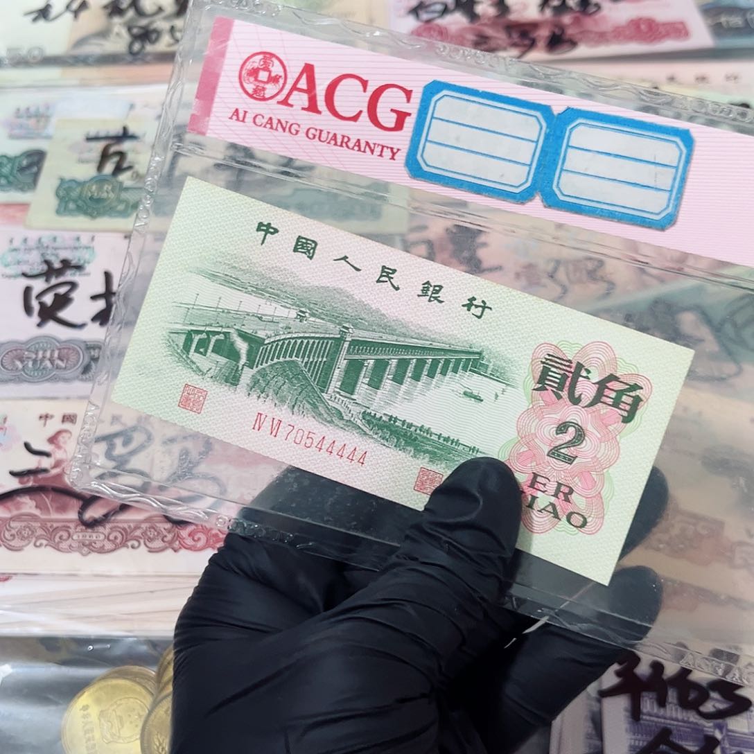 大桥老虎70544444保真保真