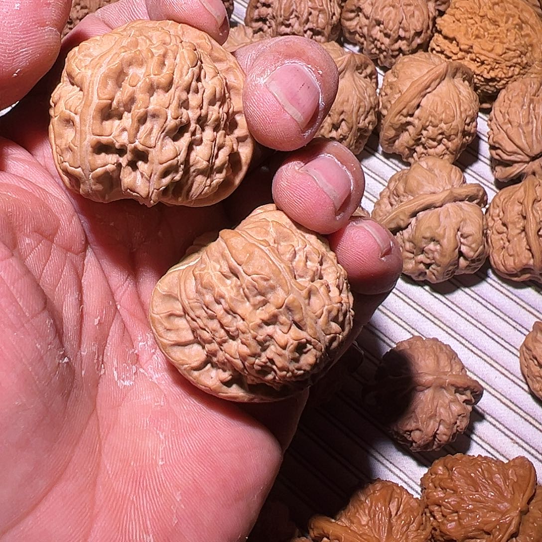 ꧁***꧂把件核桃啊啊啊啊啊啊啊啊啊