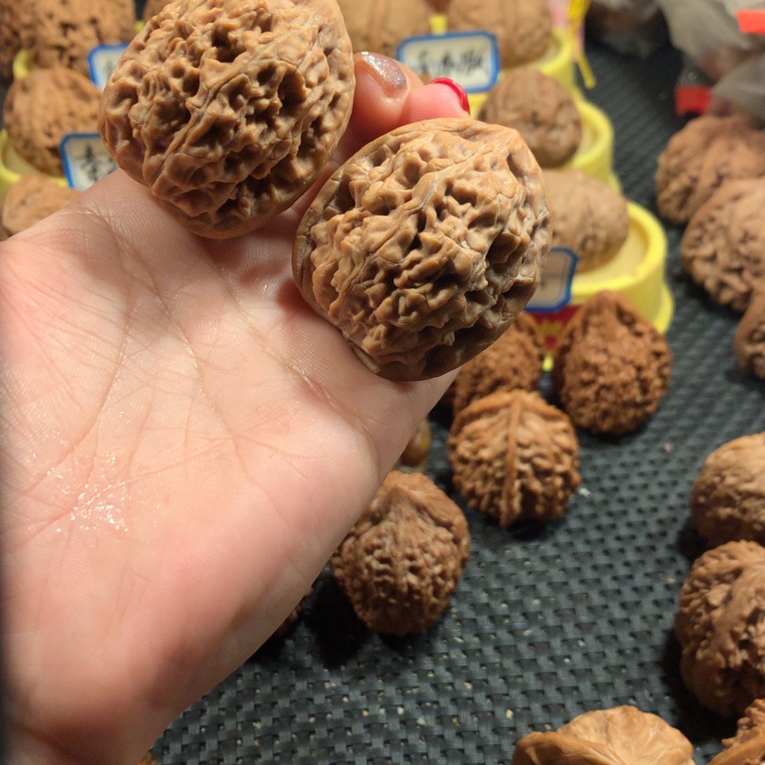 把件文玩核桃粗筋蚂蚁王