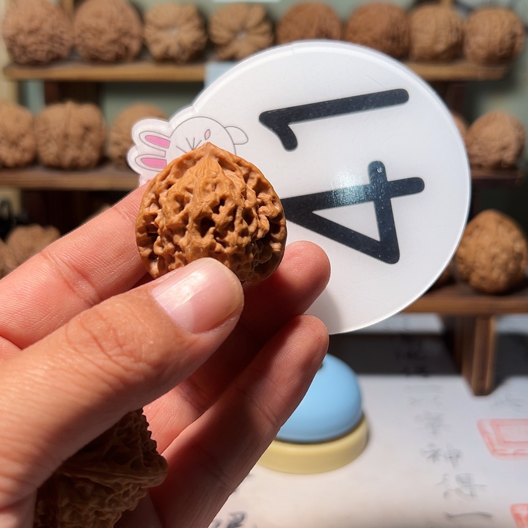 熟*文玩核桃，白色41号