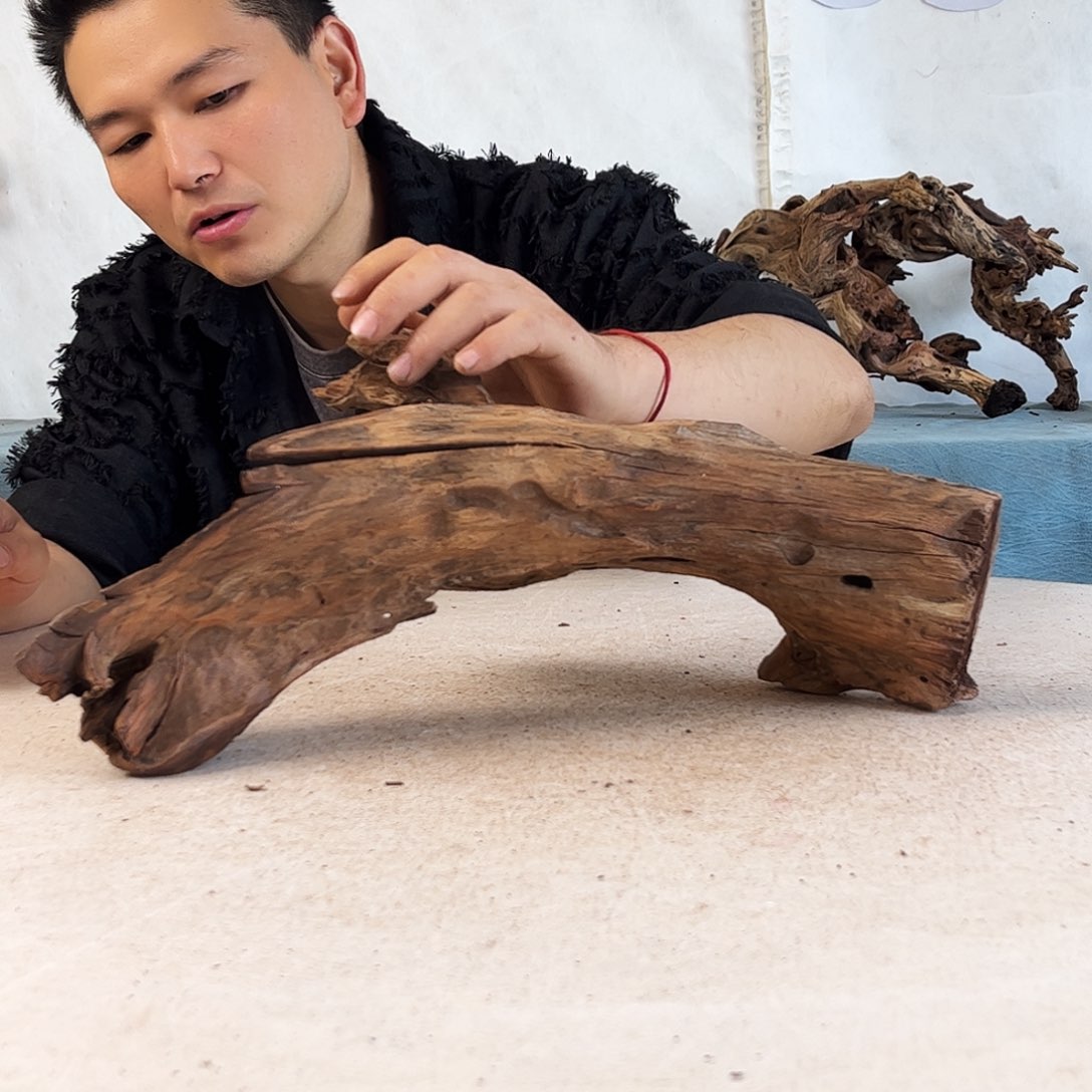 沉木造景爬宠造景