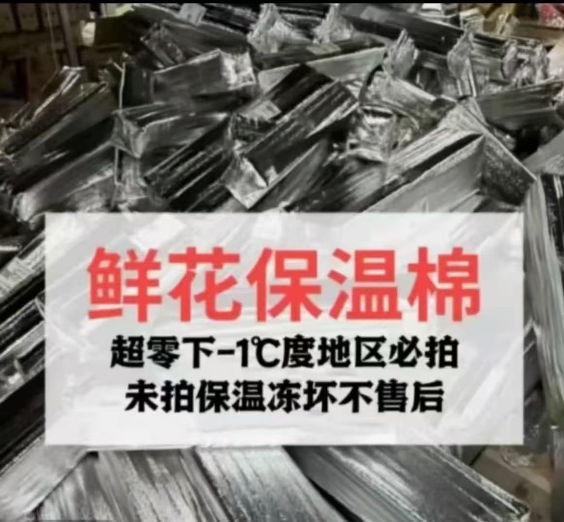 【零度或零度以下必须拍保温棉】不拍冻坏不售后鲜花