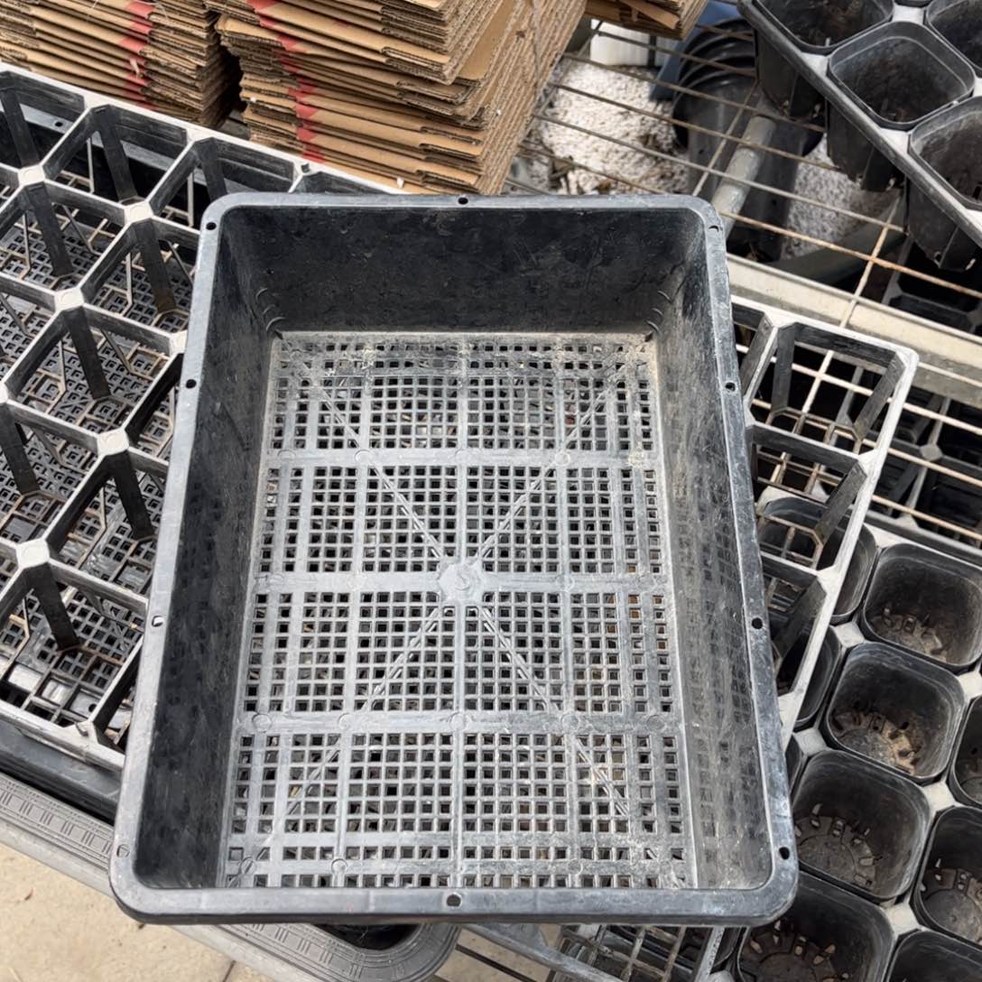 小号丽水筐两个一组