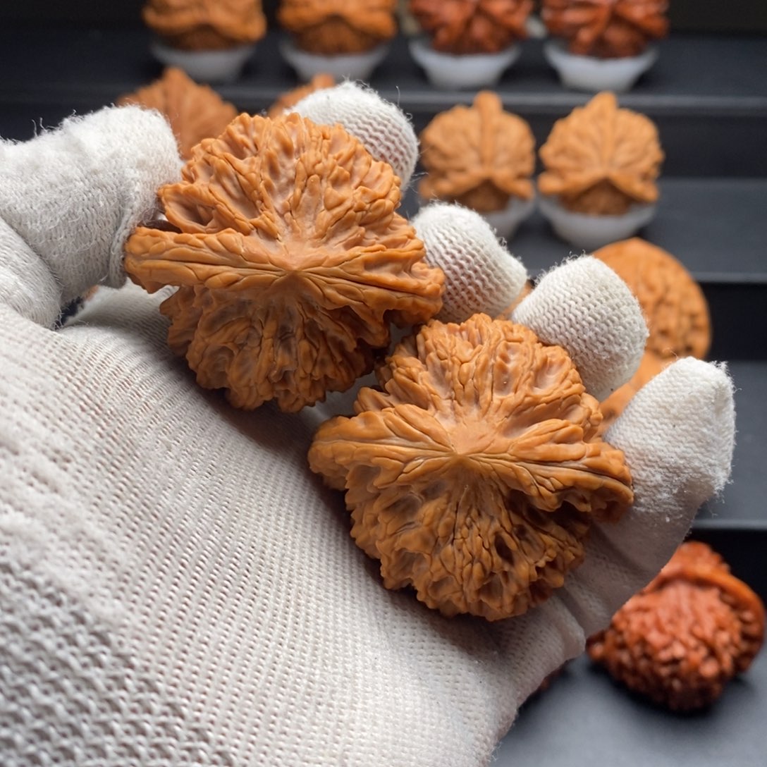 文玩核桃把件46野龙脊