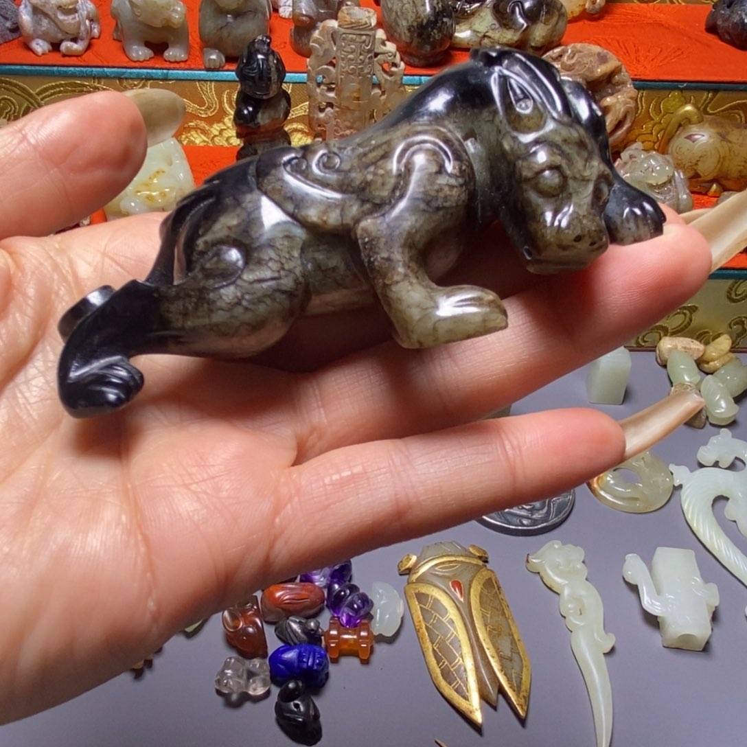 万***然小动物。。。。。。。。。。。。