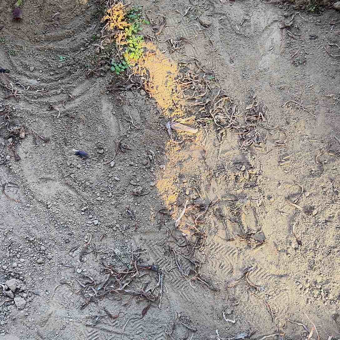 梦**?女神缀化脱土发货