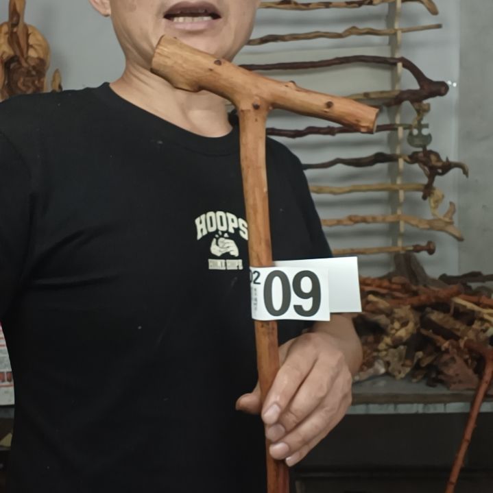 抽***草香榧木高山 檬子木文玩料