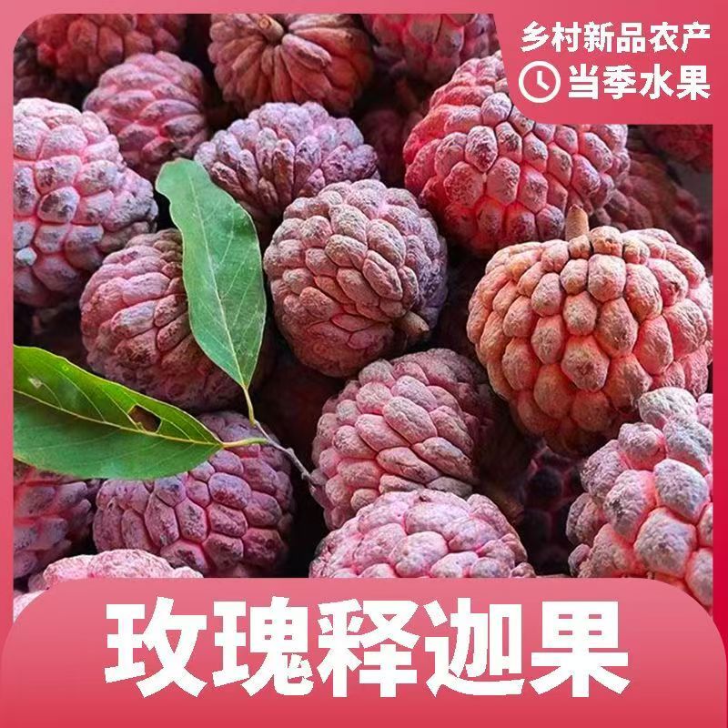 新鲜当季玫瑰释迦果热带水果软糯香甜佛头果新鲜采摘顺丰坏烂包赔