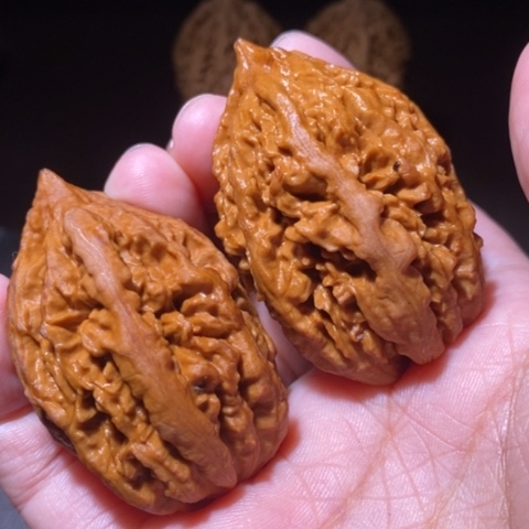 把件文玩核桃东北野生楸子小园 141