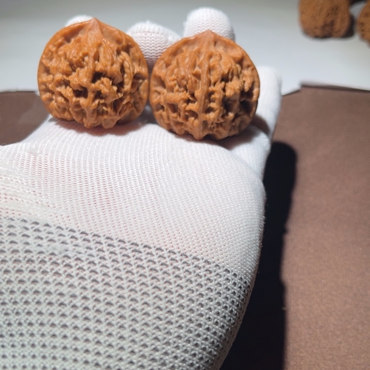 4***4精品小秦闷39尺寸