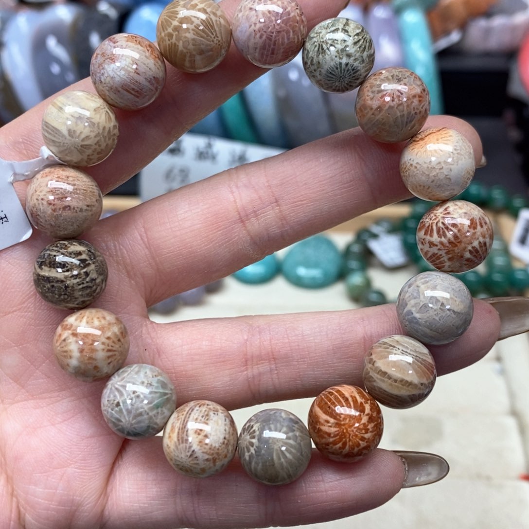 硅化珊瑚（珊瑚玉）手链未镶嵌我***肉489