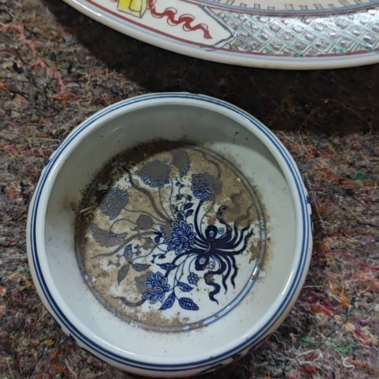 德***和瓷片瓷好的好的好的好的好的好的