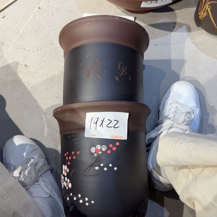 花盆紫砂紫砂的花