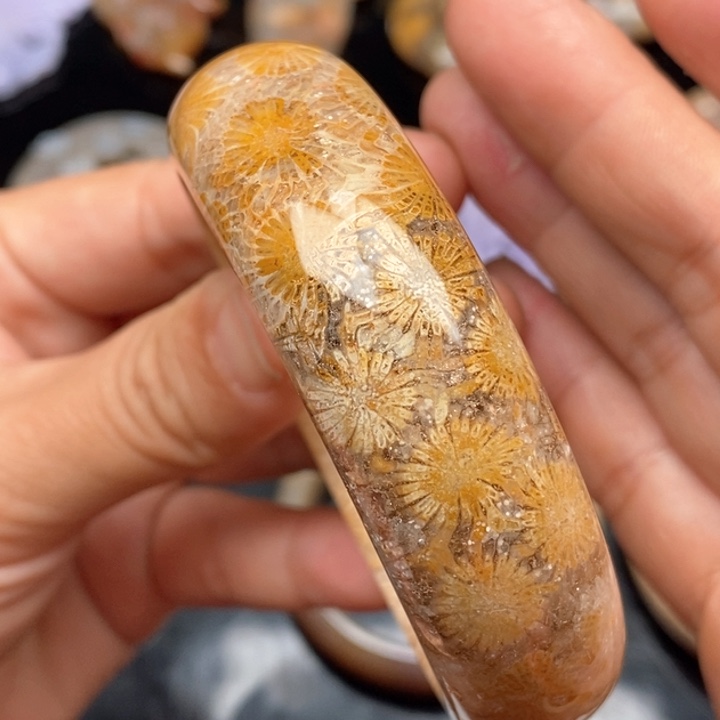 硅化珊瑚（珊瑚玉）手镯未镶嵌58,5