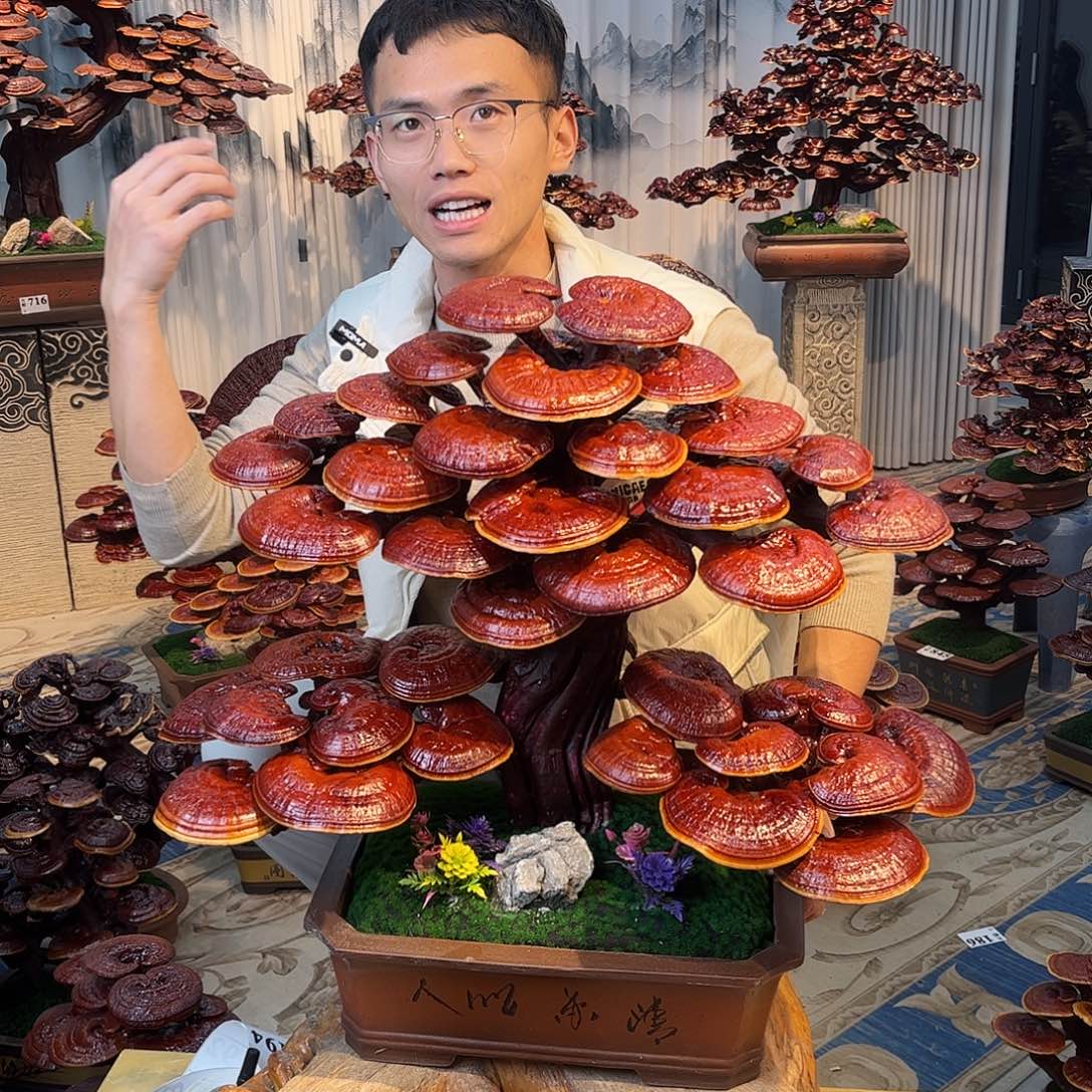 无花朵88888888888