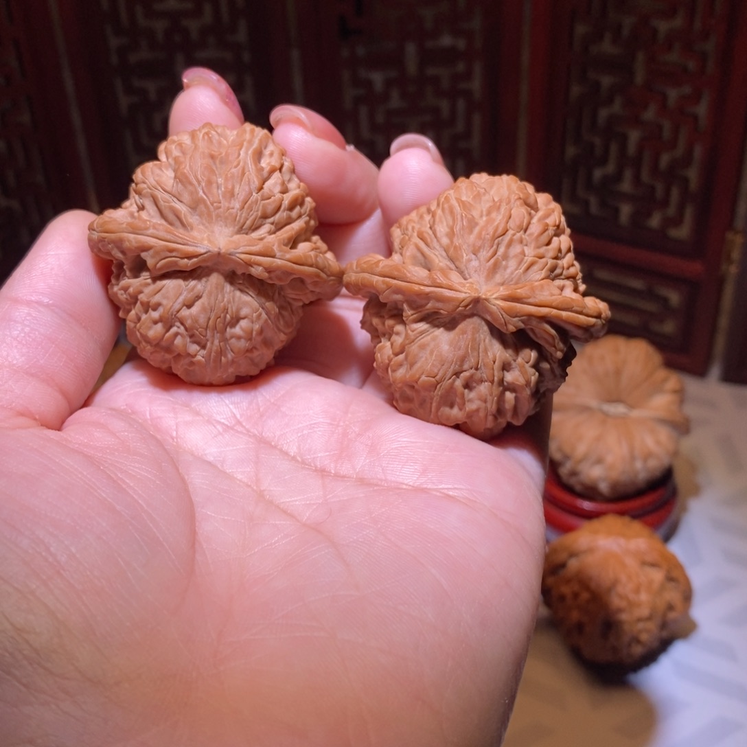 B**O43全品三角白毕业饱满