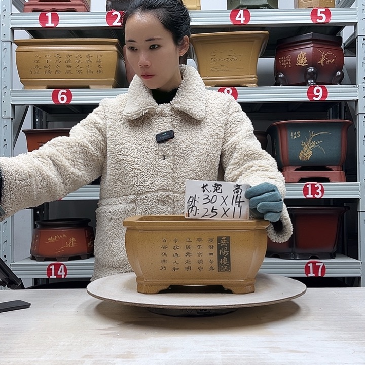 紫砂花盆紫砂花盆