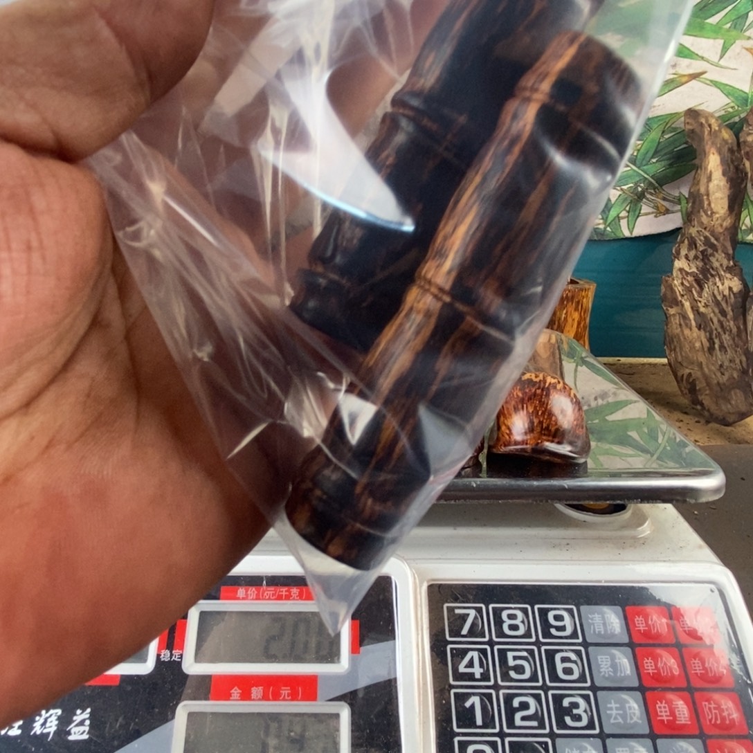 喂***师香榧木我们都在努力着改变自己