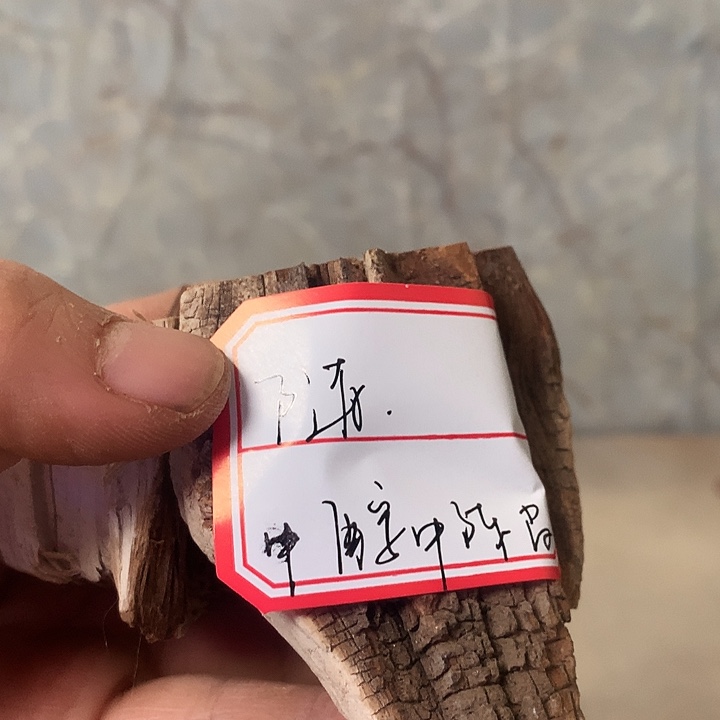 随***堂大叶紫檀（黑酸枝木类）