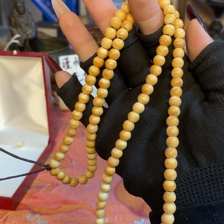 初遇见密胺瓷中古回流哈哈哈哈