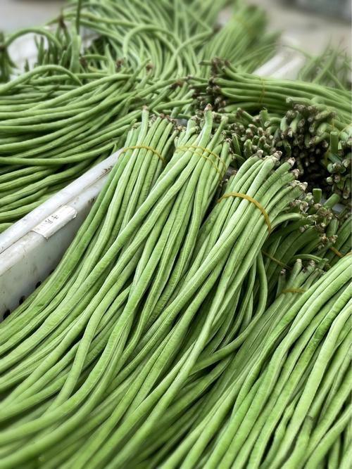 代卖农家自种（鲜豆角）