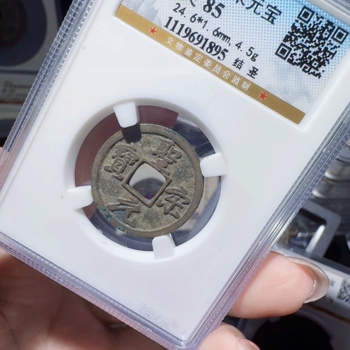 铜DX评级币一个，1895