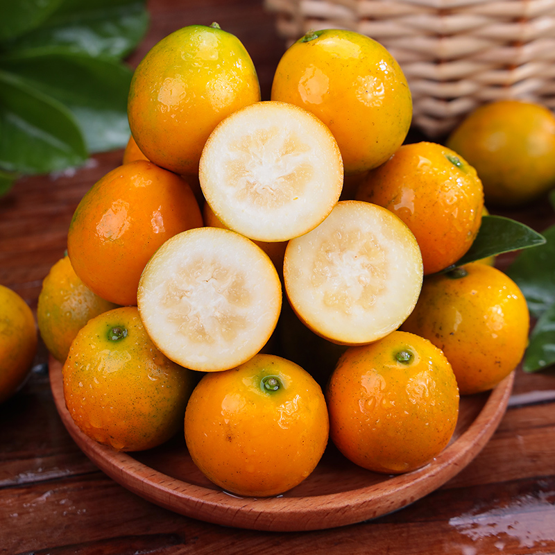 【产地直发】正宗广西融安老树花皮金桔第三代金柑脆蜜金桔纯甜无酸