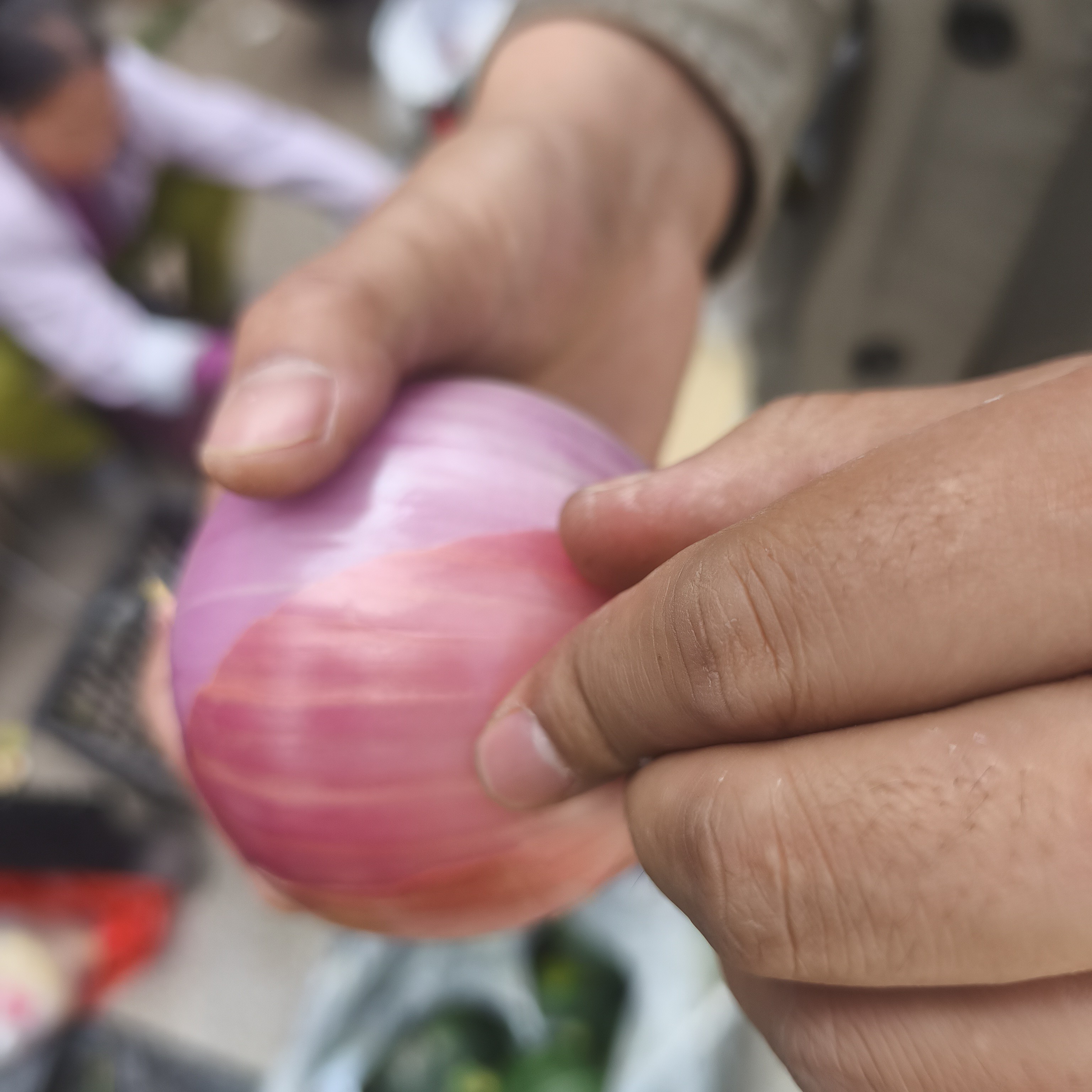 (小赵山货)云南边境  洋葱