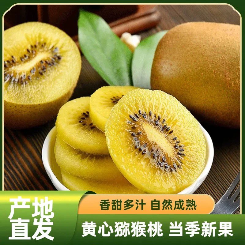 《小军严选》猕猴桃 黄心奇异果猕猴桃（软后食用）包邮四川省