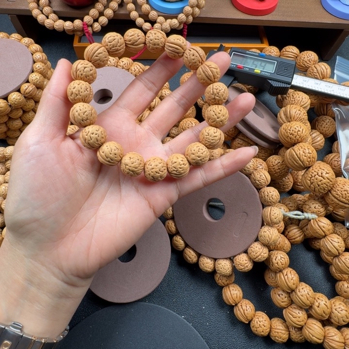 桥***川菩提籽类99999999999999999