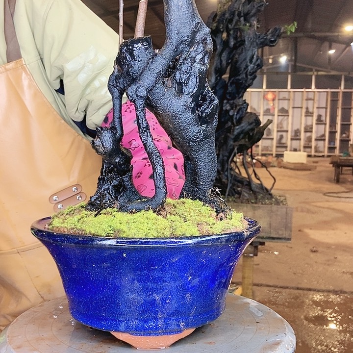 不想让我去你那里上班