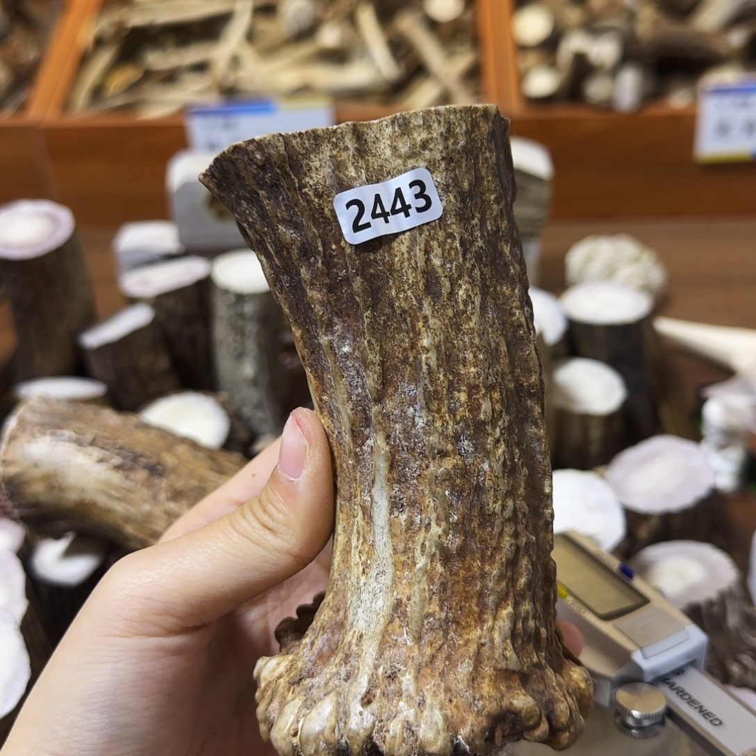 手串/手链鹿骨2443角根