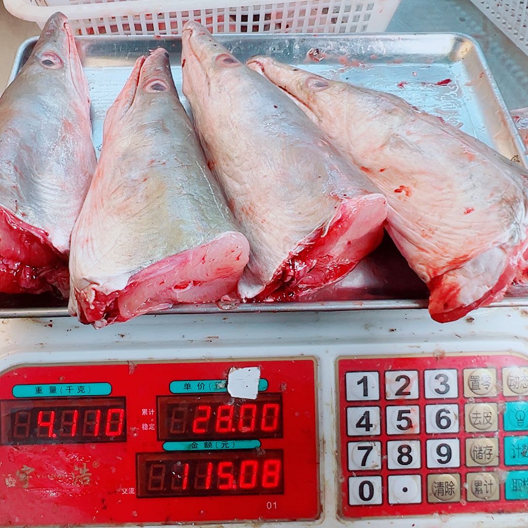 中国大陆四个鳗鱼头