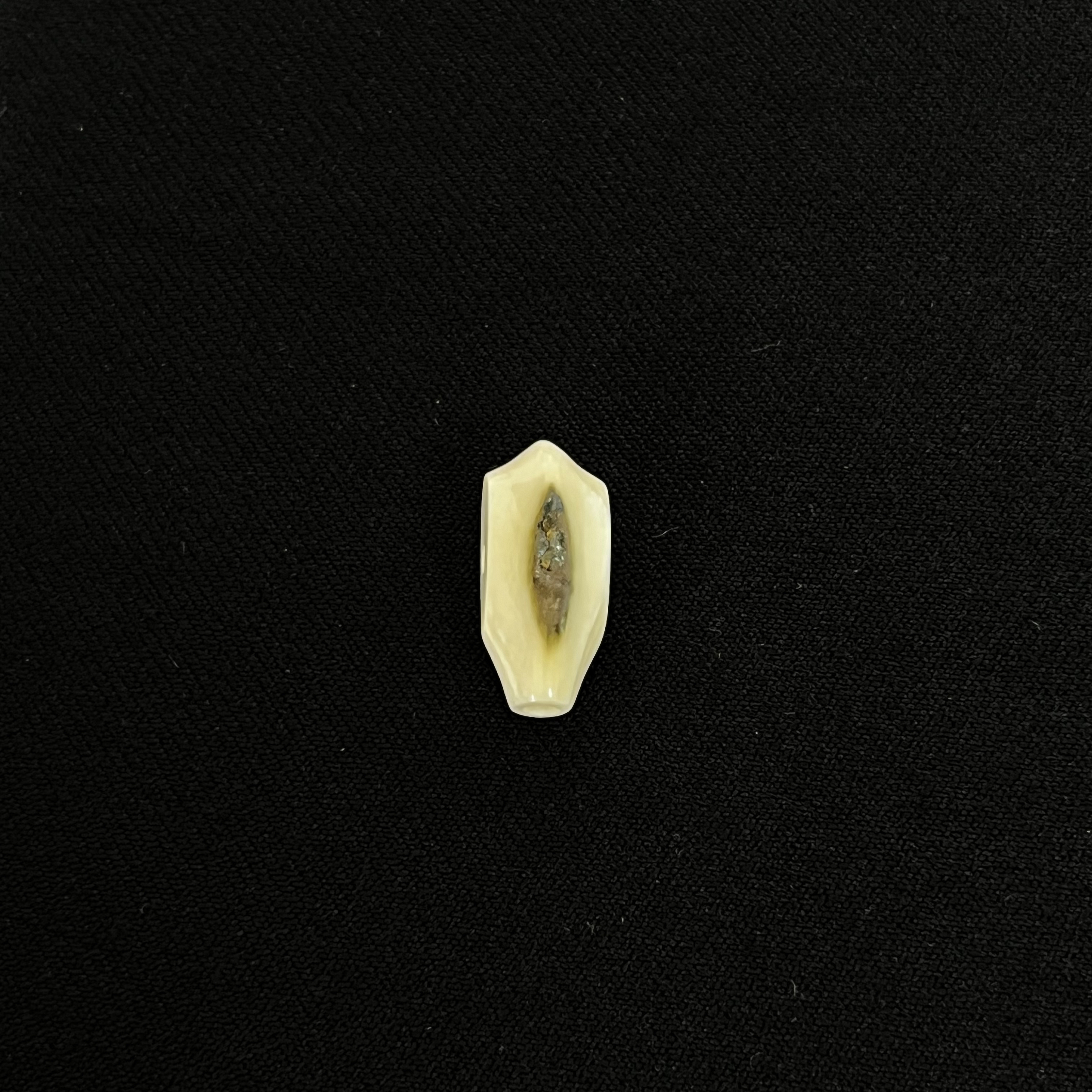 DS03  蓝眼三通 只做天然猛犸牙