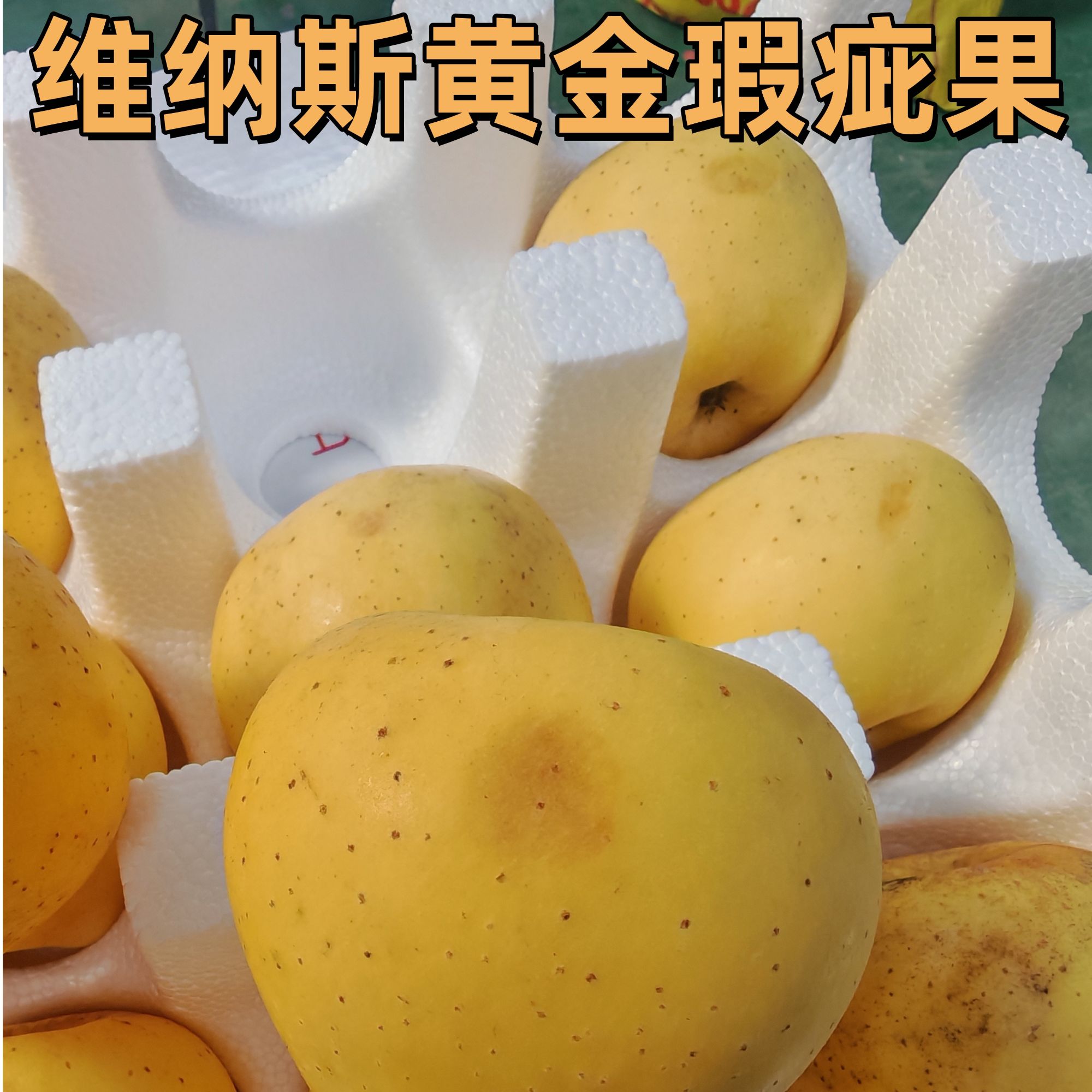 【维纳斯瑕疵果】白水维纳斯苹果轻微瑕疵不影响食用大小混装8.5斤 