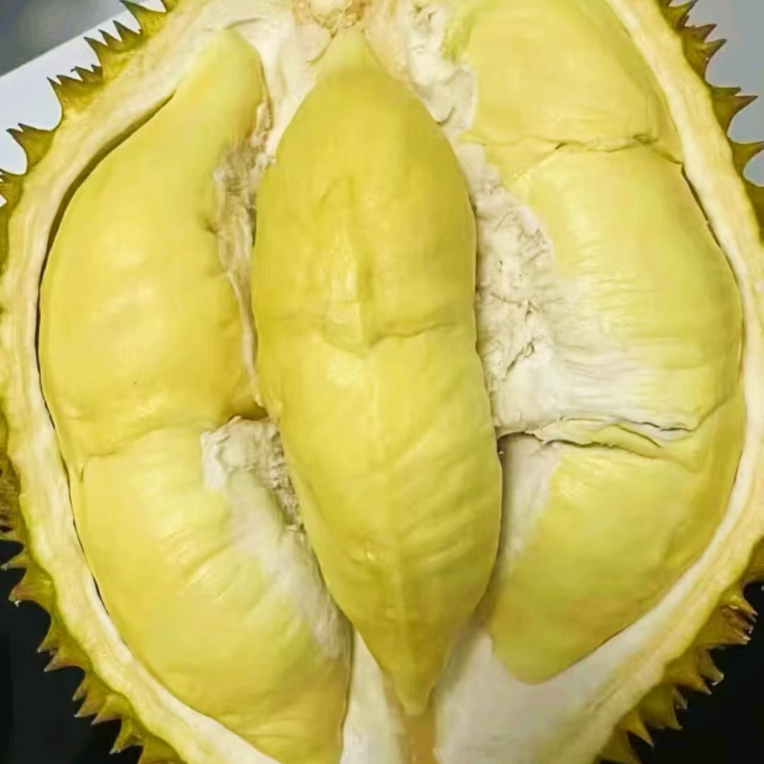 义乌福利 树熟金枕整果 一果一拍新鲜榴莲1500G-4000G（核小） 同城配送金枕泰国