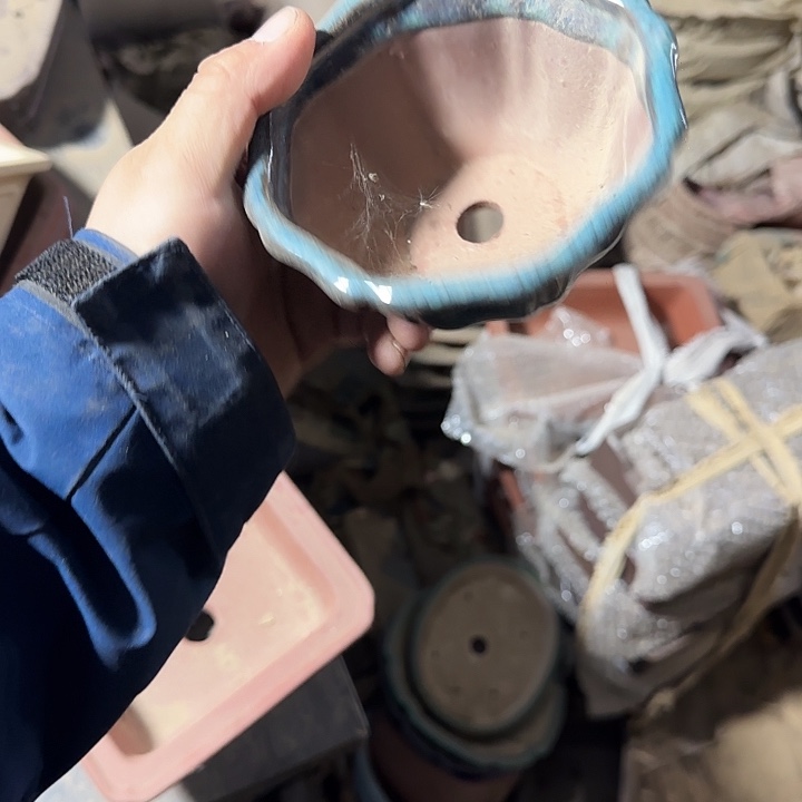 在这片美丽之乡上海举办画展是非常成功且