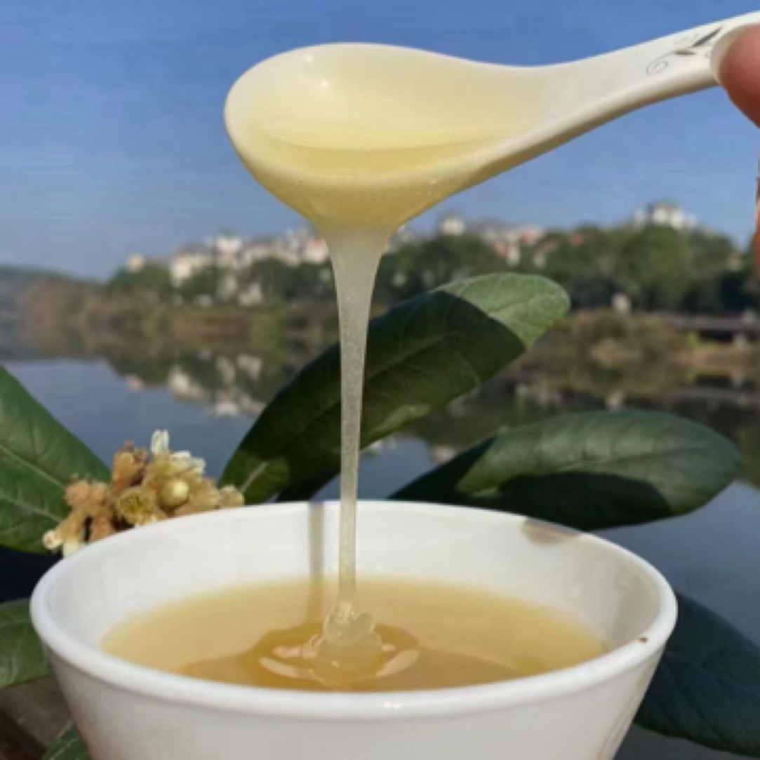 白玉枇杷花蜜500g  冬蜜一年一取 全封盖成熟土蜂蜜 