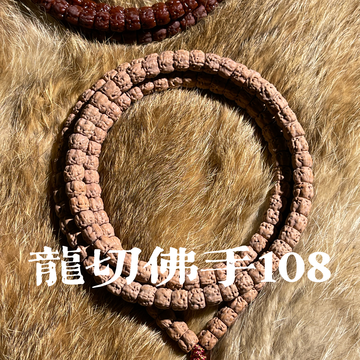【龙切佛手108】•野系列『豆腐块 顶级梅花佛手 保留五爪 一根毕业』