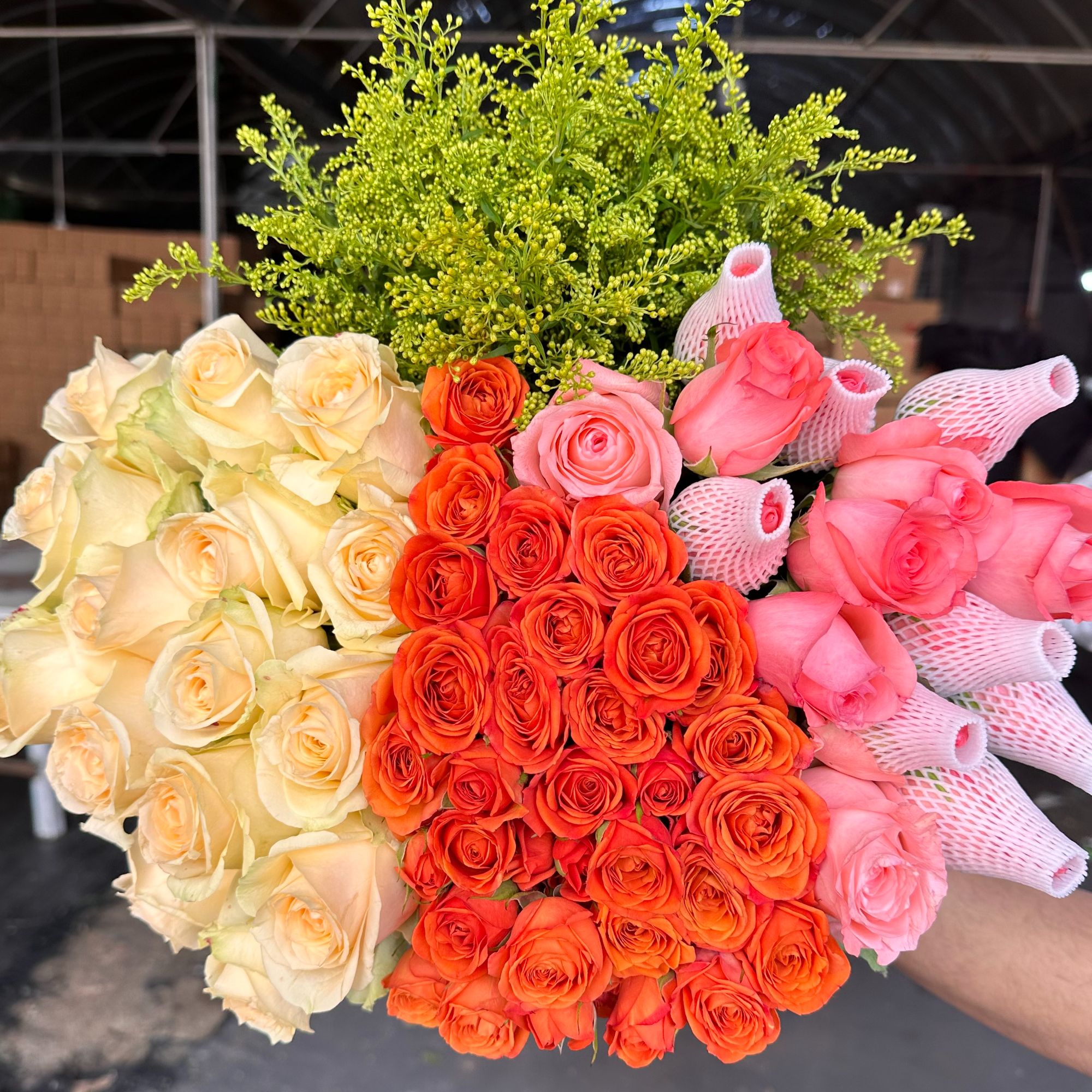 香槟玫瑰10枝+粉玫瑰10枝+多头玫瑰+配草 （点关注再送2枝向日葵）