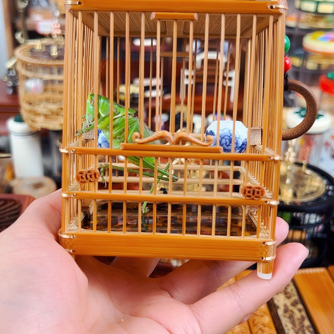 木卫清板笼蝈蝈笼➕瓷罐➕翡翠绿蝈蝈