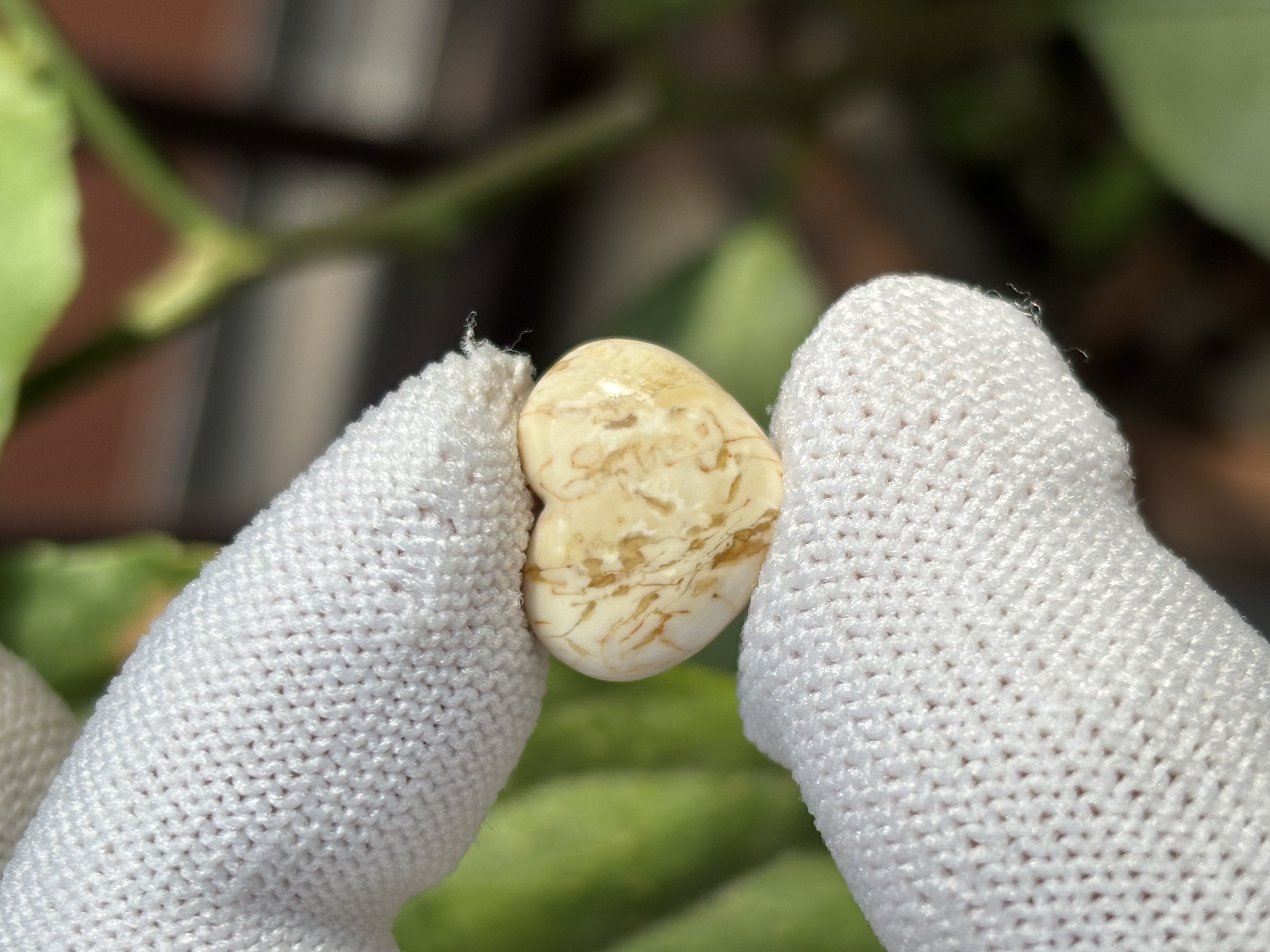 4880天然蜜蜡琥珀屁桃配饰15.5x13x6.3mm