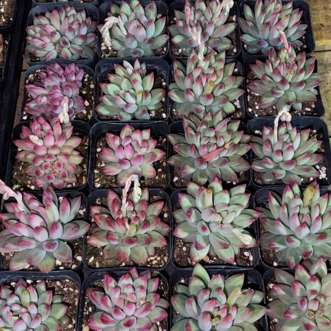 提****浪836的人生态度是一