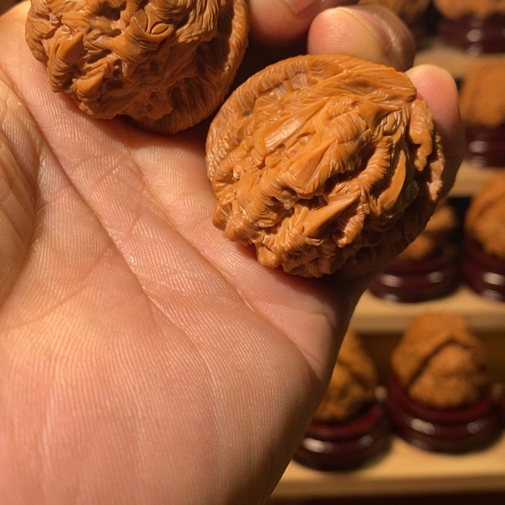 核桃三角白吞噬000000000000