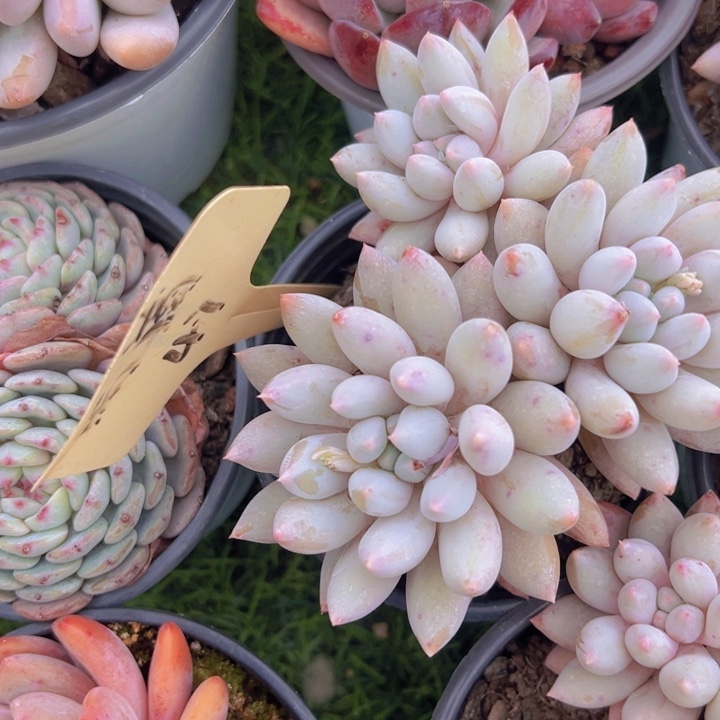 健健康康平平安安